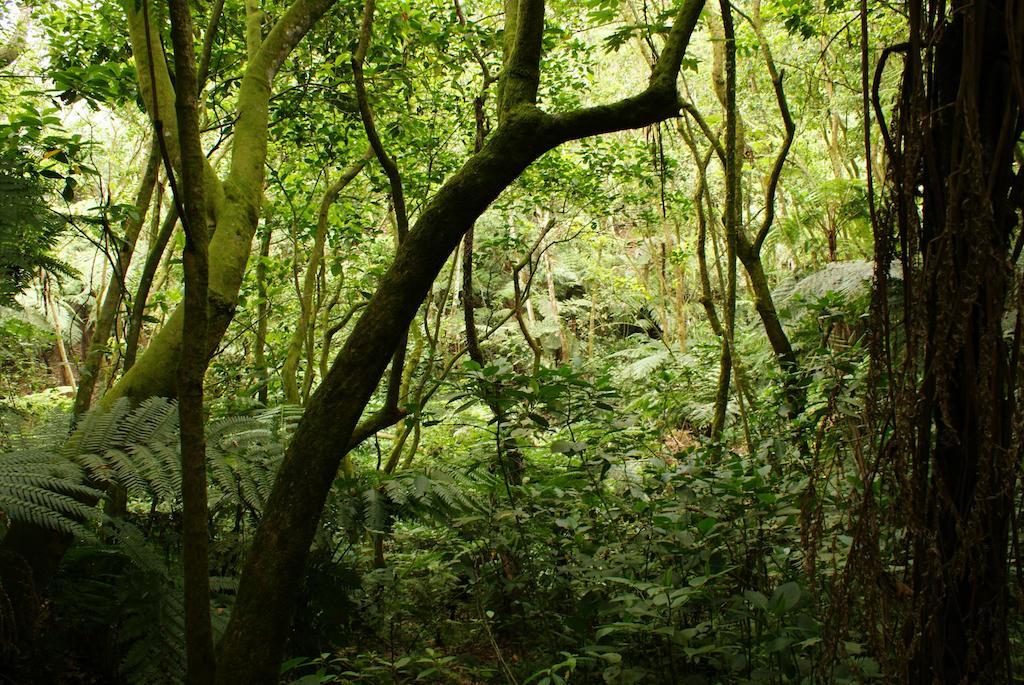 Reserva Azul Cuetzalán Bagian luar foto