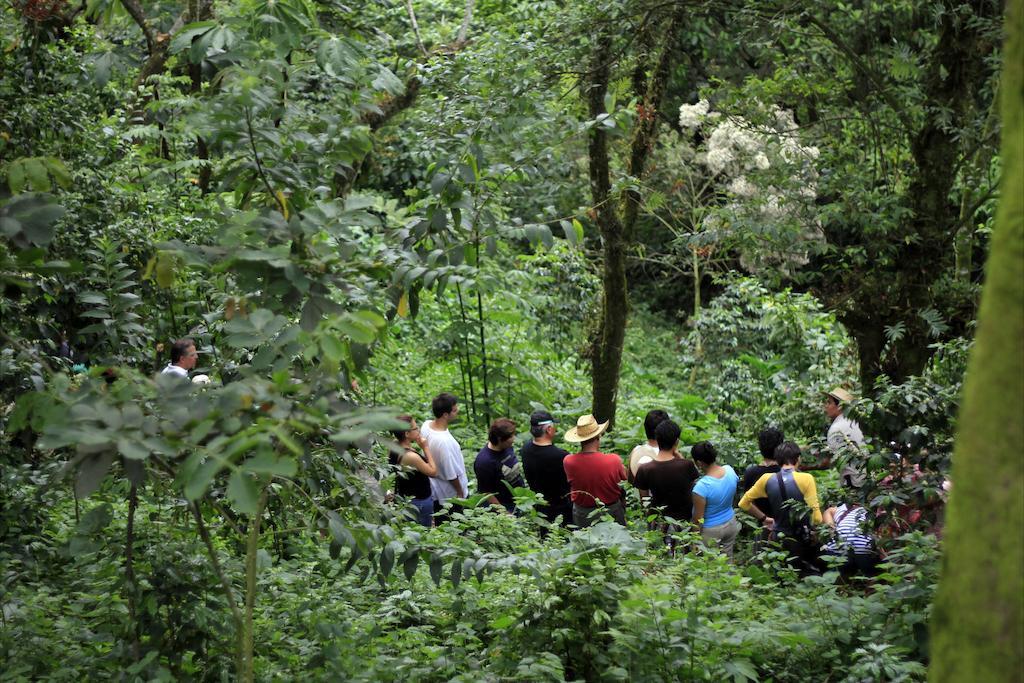 Reserva Azul Cuetzalán Bagian luar foto